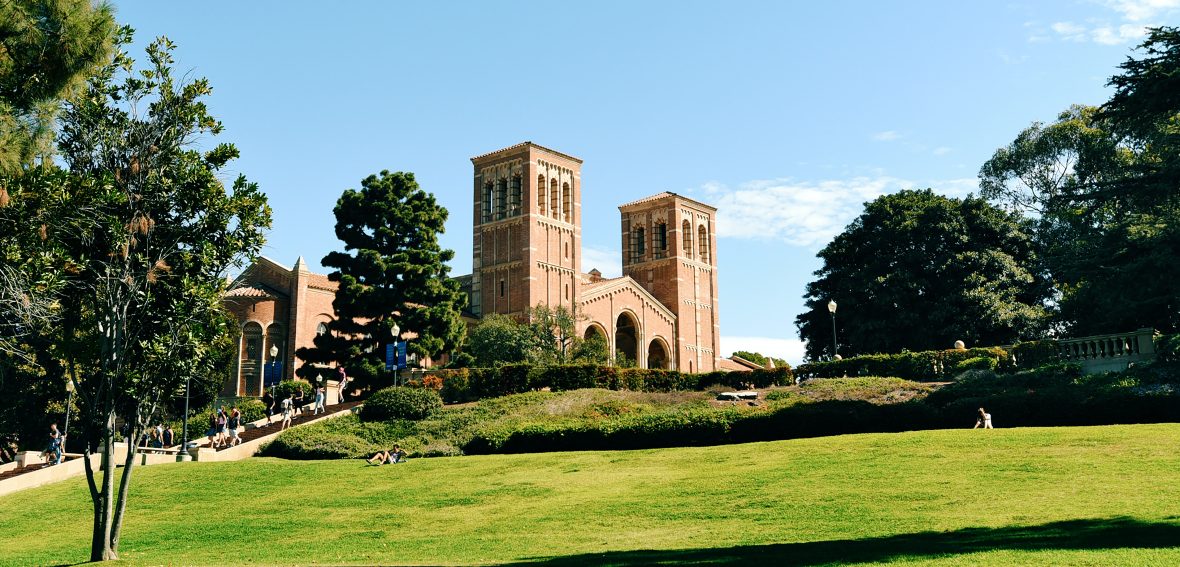 UCLA LLM Personal Statement