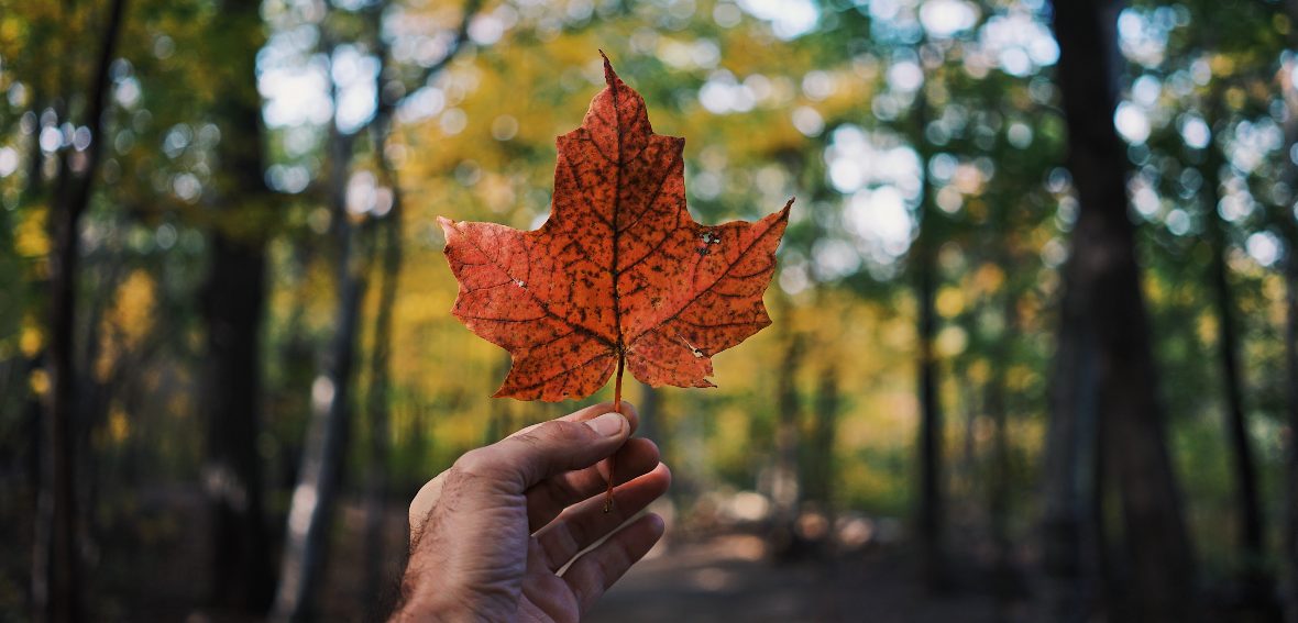 Étudier au Canada après le Bac