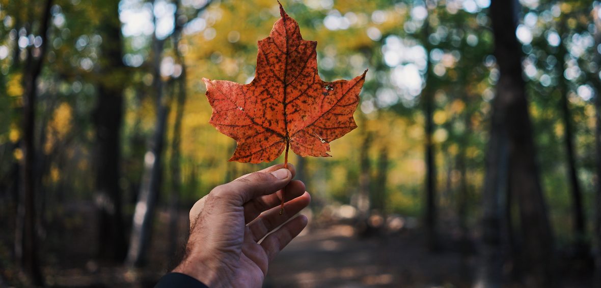 Quelles villes étudiantes au Canada ?