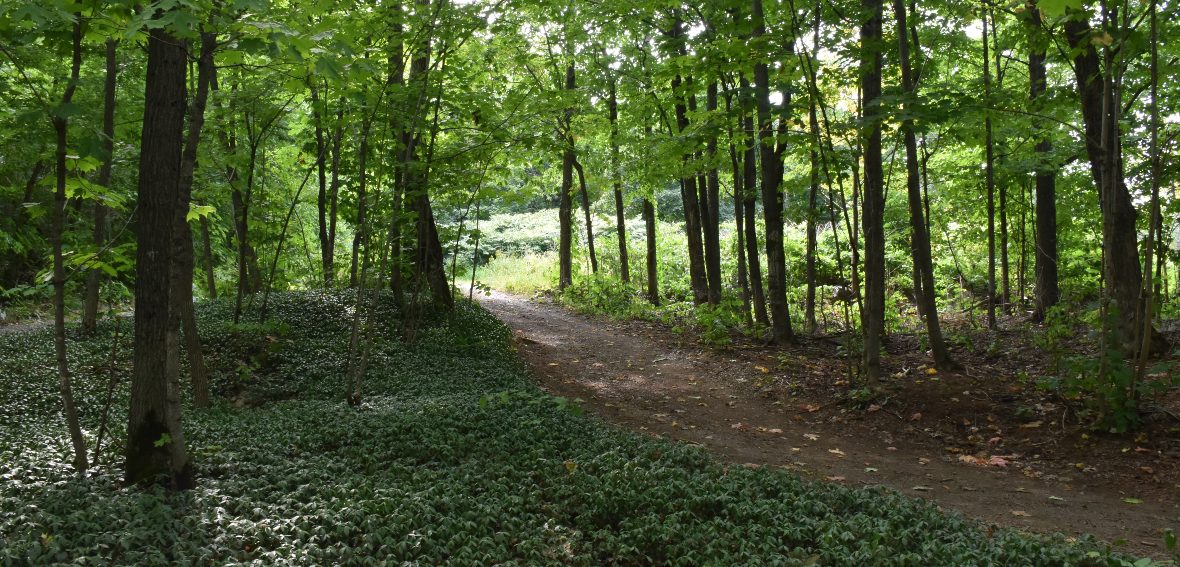 Les parcs nationaux québécois